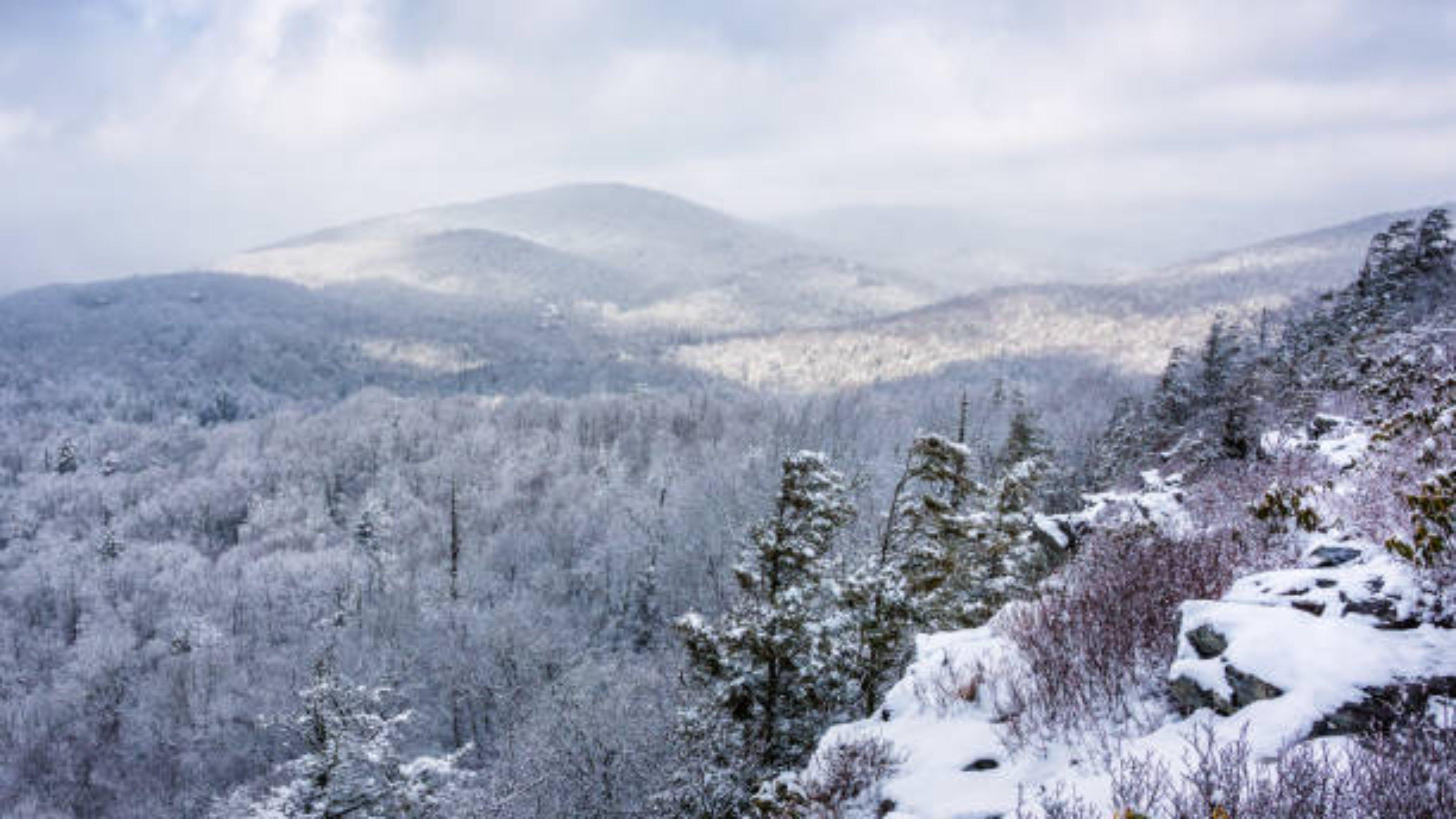 Holiday Inn Asheville - Biltmore West By Ihg Ngoại thất bức ảnh